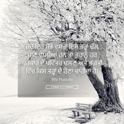 Picture 05 - 2 ਪਤਰਸ 3:11 PANIRV - ਜਦੋਂ ਇਹ ਸੱਭੇ ਵਸਤਾਂ - Bible Verse Picture