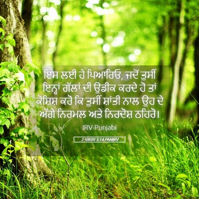 Picture 05 - 2 ਪਤਰਸ 3:14 PANIRV - ਇਸ ਲਈ ਹੇ ਪਿਆਰਿਓ, - Bible Verse Picture