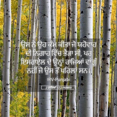 Picture 05 - 2 ਰਾਜਿਆਂ 17:2 PANIRV - ਉਸ ਨੇ ਉਹ ਕੰਮ ਕੀਤਾ - Bible Verse Picture