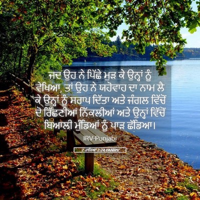 Picture 05 - 2 ਰਾਜਿਆਂ 2:24 PANIRV - ਜਦ ਉਹ ਨੇ ਪਿੱਛੇ ਮੁੜ - Bible Verse Picture