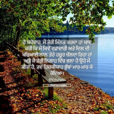 Picture 05 - 2 ਰਾਜਿਆਂ 20:3 PANIRV - ਹੇ ਯਹੋਵਾਹ, ਮੈਂ ਤੇਰੀ - Bible Verse Picture