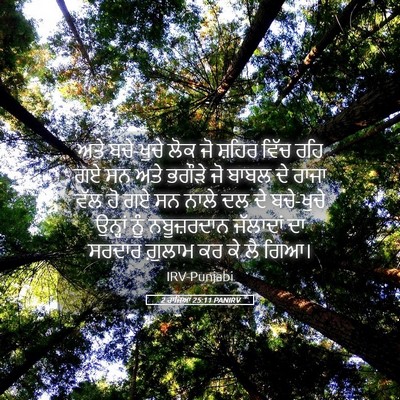 Picture 05 - 2 ਰਾਜਿਆਂ 25:11 PANIRV - ਅਤੇ ਬਚੇ-ਖੁਚੇ ਲੋਕ ਜੋ - Bible Verse Picture