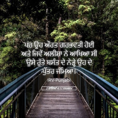 Picture 05 - 2 ਰਾਜਿਆਂ 4:17 PANIRV - ਪਰ ਉਹ ਔਰਤ ਗਰਭਵਤੀ - Bible Verse Picture