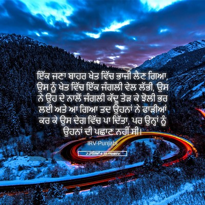 Picture 05 - 2 ਰਾਜਿਆਂ 4:39 PANIRV - ਇੱਕ ਜਣਾ ਬਾਹਰ ਖੇਤ - Bible Verse Picture