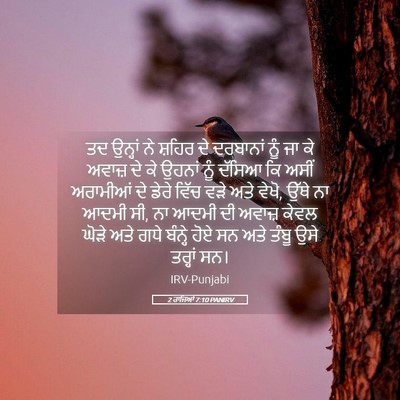 Picture 05 - 2 ਰਾਜਿਆਂ 7:10 PANIRV - ਤਦ ਉਨ੍ਹਾਂ ਨੇ ਸ਼ਹਿਰ - Bible Verse Picture
