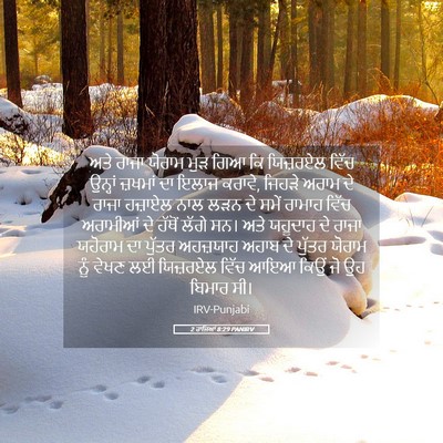Picture 05 - 2 ਰਾਜਿਆਂ 8:29 PANIRV - ਅਤੇ ਰਾਜਾ ਯੋਰਾਮ ਮੁੜ - Bible Verse Picture