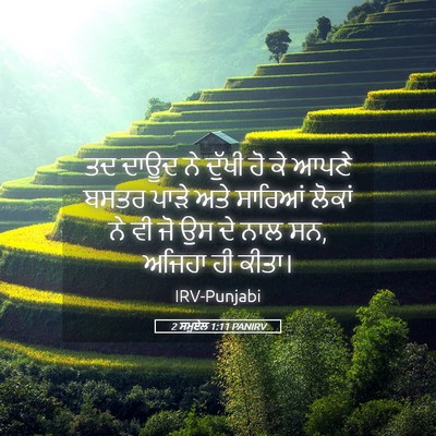 Picture 05 - 2 ਸਮੂਏਲ 1:11 PANIRV - ਤਦ ਦਾਊਦ ਨੇ ਦੁੱਖੀ ਹੋ - Bible Verse Picture