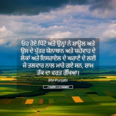 Picture 05 - 2 ਸਮੂਏਲ 1:12 PANIRV - ਓਹ ਰੋਏ-ਪਿੱਟੇ ਅਤੇ - Bible Verse Picture