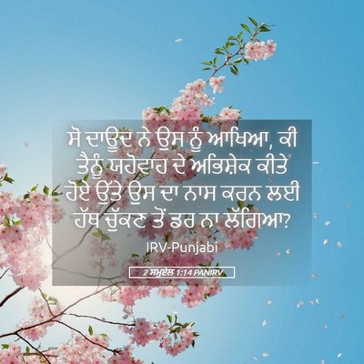 Picture 05 - 2 ਸਮੂਏਲ 1:14 PANIRV - ਸੋ ਦਾਊਦ ਨੇ ਉਸ ਨੂੰ - Bible Verse Picture