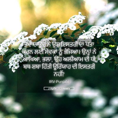 Picture 05 - 2 ਸਮੂਏਲ 11:3 PANIRV - ਤਦ ਦਾਊਦ ਨੇ ਉਸ ਇਸਤਰੀ - Bible Verse Picture