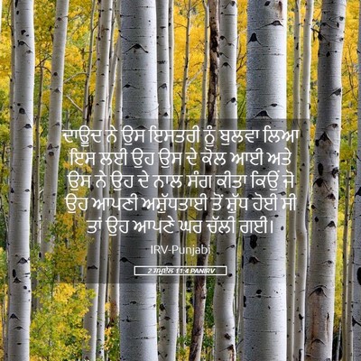 Picture 05 - 2 ਸਮੂਏਲ 11:4 PANIRV - ਦਾਊਦ ਨੇ ਉਸ ਇਸਤਰੀ - Bible Verse Picture