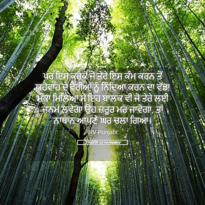 Picture 05 - 2 ਸਮੂਏਲ 12:14 PANIRV - ਪਰ ਇਸ ਕਰਕੇ ਜੋ ਤੇਰੇ - Bible Verse Picture