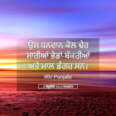 Picture 05 - 2 ਸਮੂਏਲ 12:2 PANIRV - ਉਸ ਧਨਵਾਨ ਕੋਲ ਢੇਰ - Bible Verse Picture