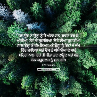 Picture 05 - 2 ਸਮੂਏਲ 12:31 PANIRV - ਤਦ ਉਸ ਨੇ ਉਨ੍ਹਾਂ ਨੂੰ - Bible Verse Picture
