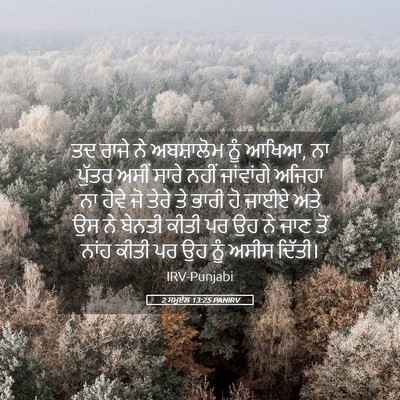 Picture 05 - 2 ਸਮੂਏਲ 13:25 PANIRV - ਤਦ ਰਾਜੇ ਨੇ - Bible Verse Picture