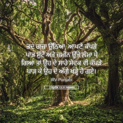 Picture 05 - 2 ਸਮੂਏਲ 13:31 PANIRV - ਤਦ ਰਾਜਾ ਉੱਠਿਆ, ਆਪਣੇ - Bible Verse Picture