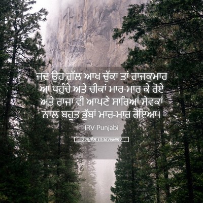 Picture 05 - 2 ਸਮੂਏਲ 13:36 PANIRV - ਜਦ ਉਹ ਗੱਲ ਆਖ ਚੁੱਕਾ - Bible Verse Picture