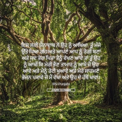 Picture 05 - 2 ਸਮੂਏਲ 13:5 PANIRV - ਇਸ ਲਈ ਯੋਨਾਦਾਬ ਨੇ ਉਹ - Bible Verse Picture