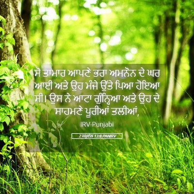 Picture 05 - 2 ਸਮੂਏਲ 13:8 PANIRV - ਸੋ ਤਾਮਾਰ ਆਪਣੇ ਭਰਾ - Bible Verse Picture