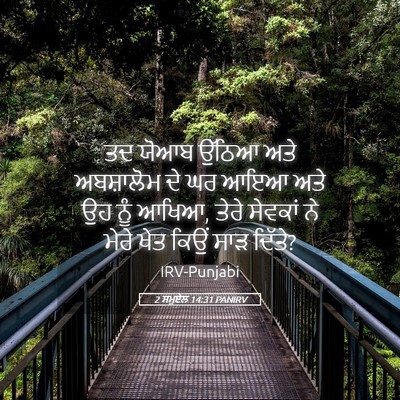 Picture 05 - 2 ਸਮੂਏਲ 14:31 PANIRV - ਤਦ ਯੋਆਬ ਉੱਠਿਆ ਅਤੇ - Bible Verse Picture