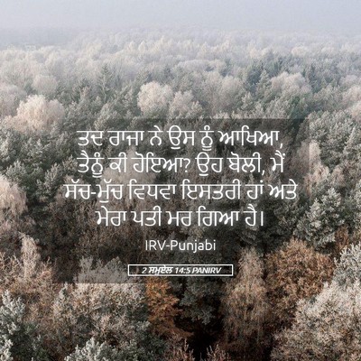 Picture 05 - 2 ਸਮੂਏਲ 14:5 PANIRV - ਤਦ ਰਾਜਾ ਨੇ ਉਸ ਨੂੰ - Bible Verse Picture