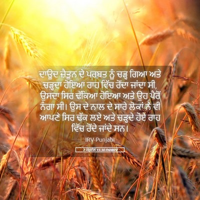 Picture 05 - 2 ਸਮੂਏਲ 15:30 PANIRV - ਦਾਊਦ ਜ਼ੈਤੂਨ ਦੇ - Bible Verse Picture