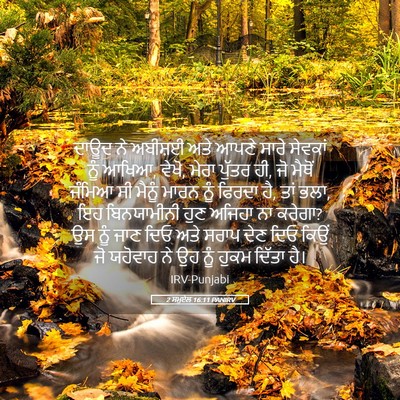 Picture 05 - 2 ਸਮੂਏਲ 16:11 PANIRV - ਦਾਊਦ ਨੇ ਅਬੀਸ਼ਈ ਅਤੇ - Bible Verse Picture