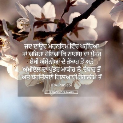Picture 05 - 2 ਸਮੂਏਲ 17:27 PANIRV - ਜਦ ਦਾਊਦ ਮਹਨਇਮ ਵਿੱਚ - Bible Verse Picture