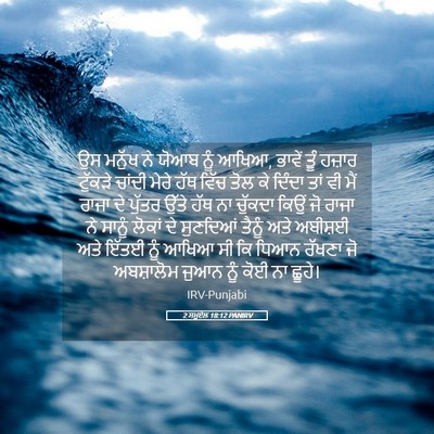 Picture 05 - 2 ਸਮੂਏਲ 18:12 PANIRV - ਉਸ ਮਨੁੱਖ ਨੇ ਯੋਆਬ - Bible Verse Picture