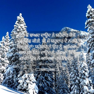 Picture 05 - 2 ਸਮੂਏਲ 2:1 PANIRV - ਇਹ ਤੋਂ ਬਾਅਦ ਦਾਊਦ ਨੇ - Bible Verse Picture