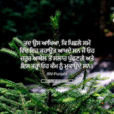 Picture 05 - 2 ਸਮੂਏਲ 20:18 PANIRV - ਤਦ ਉਸ ਆਖਿਆ, ਕਿ - Bible Verse Picture