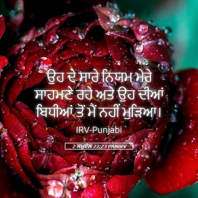 Picture 05 - 2 ਸਮੂਏਲ 22:23 PANIRV - ਉਹ ਦੇ ਸਾਰੇ ਨਿਯਮ - Bible Verse Picture
