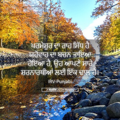 Picture 05 - 2 ਸਮੂਏਲ 22:31 PANIRV - ਪਰਮੇਸ਼ੁਰ ਦਾ ਰਾਹ - Bible Verse Picture