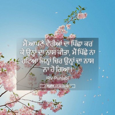 Picture 05 - 2 ਸਮੂਏਲ 22:38 PANIRV - ਮੈਂ ਆਪਣੇ ਵੈਰੀਆਂ ਦਾ - Bible Verse Picture