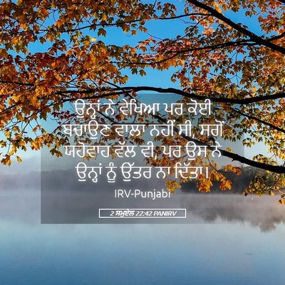 Picture 05 - 2 ਸਮੂਏਲ 22:42 PANIRV - ਉਨ੍ਹਾਂ ਨੇ ਵੇਖਿਆ ਪਰ - Bible Verse Picture