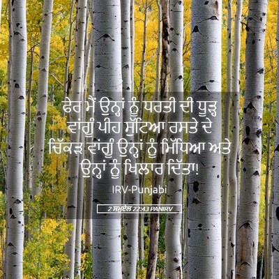 Picture 05 - 2 ਸਮੂਏਲ 22:43 PANIRV - ਫੇਰ ਮੈਂ ਉਨ੍ਹਾਂ ਨੂੰ - Bible Verse Picture