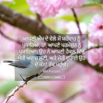 Picture 05 - 2 ਸਮੂਏਲ 22:7 PANIRV - ਆਪਣੀ ਔਖ ਦੇ ਵੇਲੇ ਮੈਂ - Bible Verse Picture