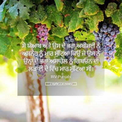 Picture 05 - 2 ਸਮੂਏਲ 3:30 PANIRV - ਸੋ ਯੋਆਬ ਅਤੇ ਉਸ ਦੇ - Bible Verse Picture