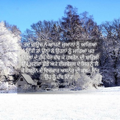 Picture 05 - 2 ਸਮੂਏਲ 4:12 PANIRV - ਤਦ ਦਾਊਦ ਨੇ ਆਪਣੇ - Bible Verse Picture