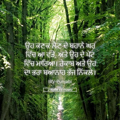 Picture 05 - 2 ਸਮੂਏਲ 4:6 PANIRV - ਉਹ ਕਣਕ ਲੈਣ ਦੇ ਬਹਾਨੇ - Bible Verse Picture