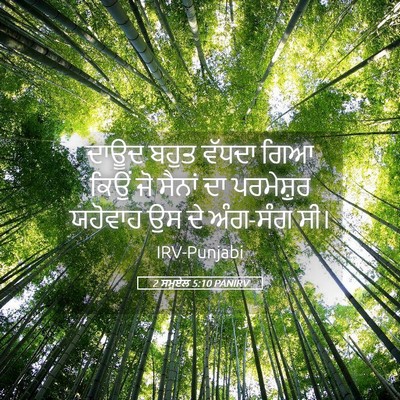 Picture 05 - 2 ਸਮੂਏਲ 5:10 PANIRV - ਦਾਊਦ ਬਹੁਤ ਵੱਧਦਾ - Bible Verse Picture