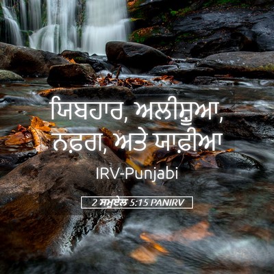 Picture 05 - 2 ਸਮੂਏਲ 5:15 PANIRV - ਯਿਬਹਾਰ, ਅਲੀਸ਼ੂਆ, - Bible Verse Picture