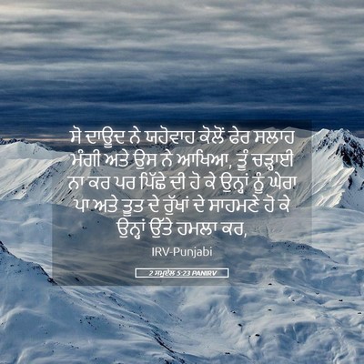 Picture 05 - 2 ਸਮੂਏਲ 5:23 PANIRV - ਸੋ ਦਾਊਦ ਨੇ ਯਹੋਵਾਹ - Bible Verse Picture