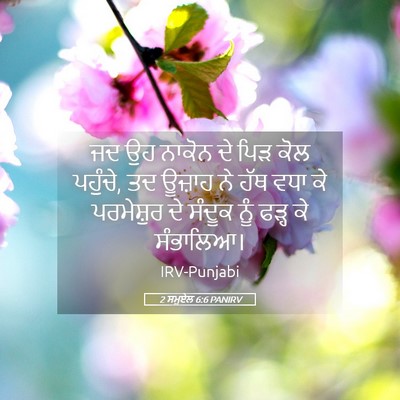 Picture 05 - 2 ਸਮੂਏਲ 6:6 PANIRV - ਜਦ ਉਹ ਨਾਕੋਨ ਦੇ ਪਿੜ - Bible Verse Picture