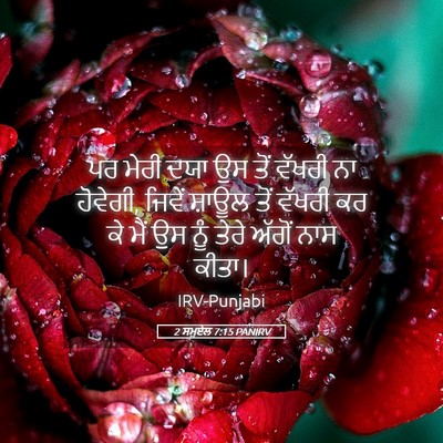 Picture 05 - 2 ਸਮੂਏਲ 7:15 PANIRV - ਪਰ ਮੇਰੀ ਦਯਾ ਉਸ ਤੋਂ - Bible Verse Picture