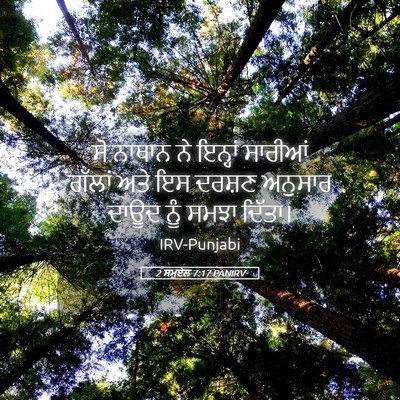 Picture 05 - 2 ਸਮੂਏਲ 7:17 PANIRV - ਸੋ ਨਾਥਾਨ ਨੇ ਇਨ੍ਹਾਂ - Bible Verse Picture