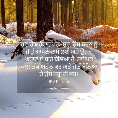 Picture 05 - 2 ਸਮੂਏਲ 7:25 PANIRV - ਹੁਣ ਹੇ ਯਹੋਵਾਹ - Bible Verse Picture