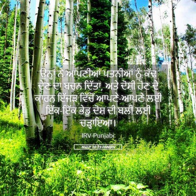 Picture 05 - ਅਜ਼ਰਾ 10:19 PANIRV - ਉਨ੍ਹਾਂ ਨੇ ਆਪਣੀਆਂ - Bible Verse Picture