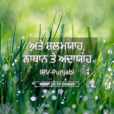 Picture 05 - ਅਜ਼ਰਾ 10:39 PANIRV - ਅਤੇ ਸ਼ਲਮਯਾਹ, ਨਾਥਾਨ - Bible Verse Picture