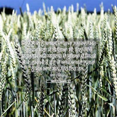 Picture 05 - ਅਜ਼ਰਾ 2:1 PANIRV - ਜਿਨ੍ਹਾਂ ਲੋਕਾਂ ਨੂੰ - Bible Verse Picture